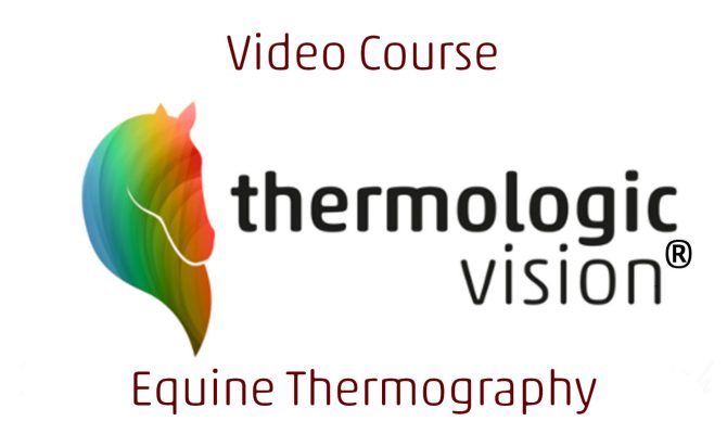 Video Course Equine Thermography – Thermal Imaging (English Version)